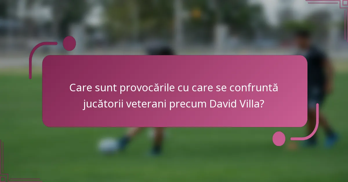 Care sunt provocările cu care se confruntă jucătorii veterani precum David Villa?